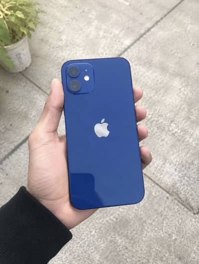 Apple iPhone 12
