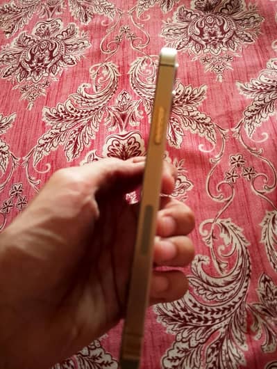 Apple iPhone 12 Pro
