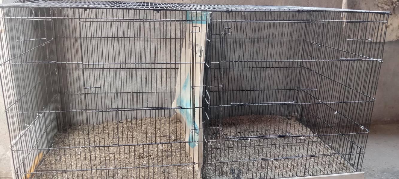 Hen Cage 0