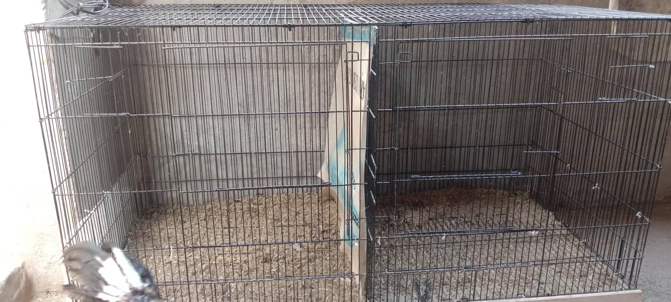 Hen Cage 1