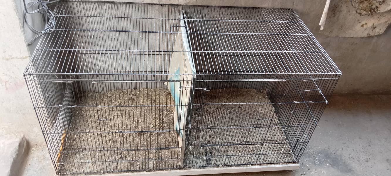 Hen Cage 2