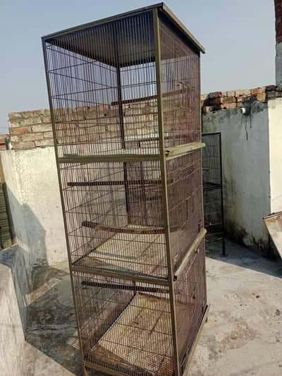 Birds cage