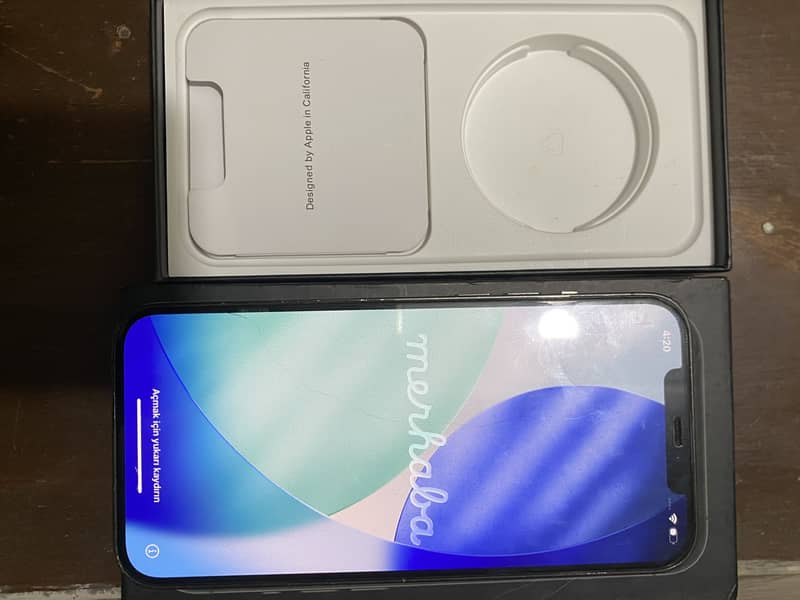 Apple iPhone 12 Pro Max 1