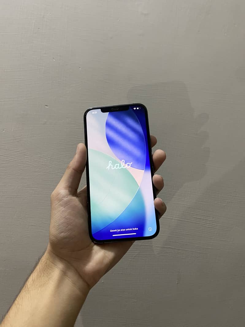 Apple iPhone 12 Pro Max 2