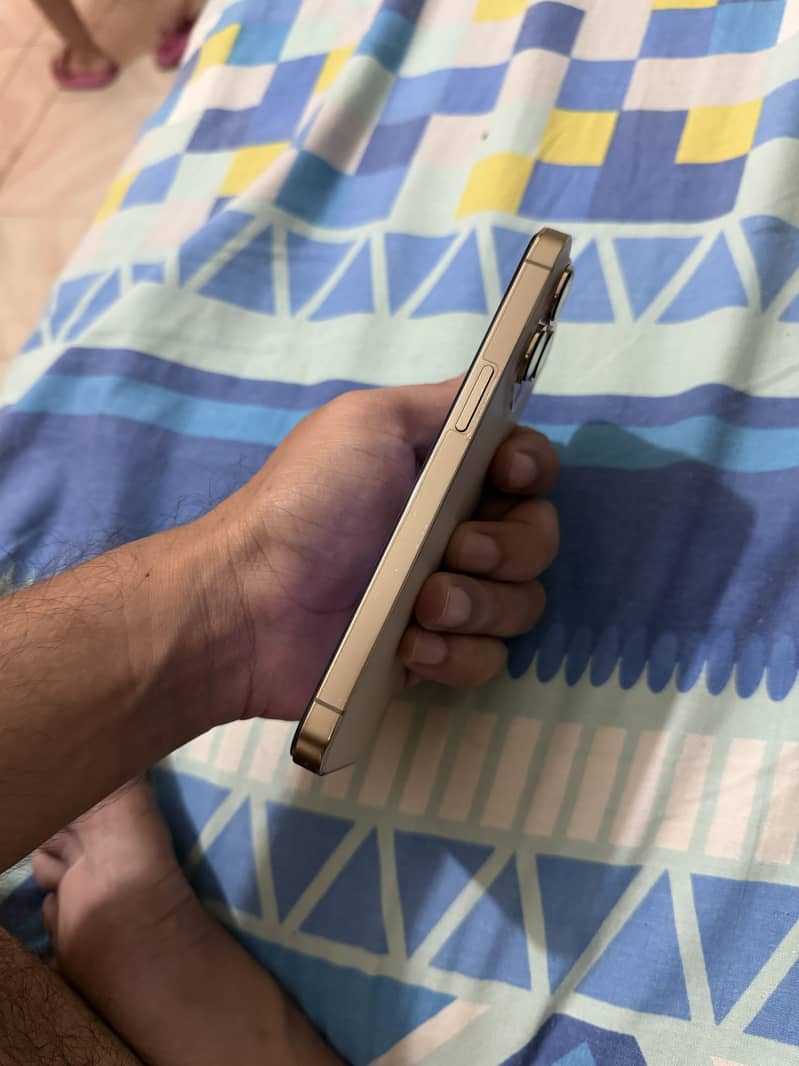 Iphone 13 pro 1