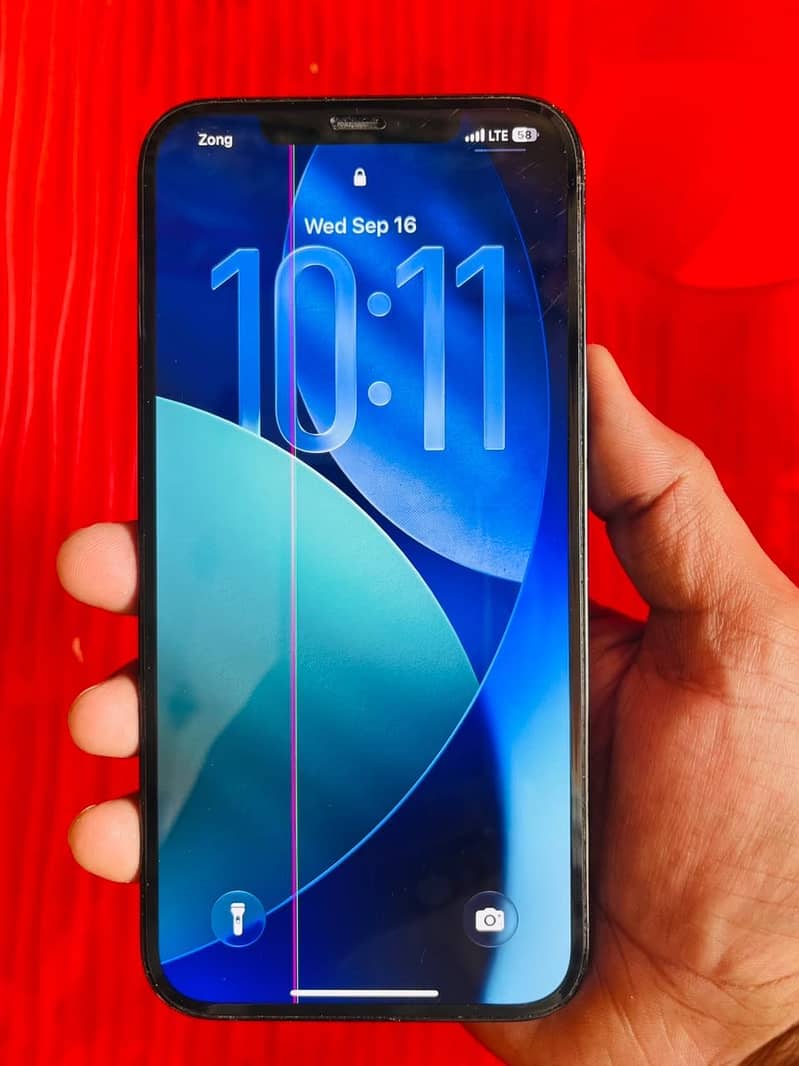 Apple iPhone 12 Pro Max 5