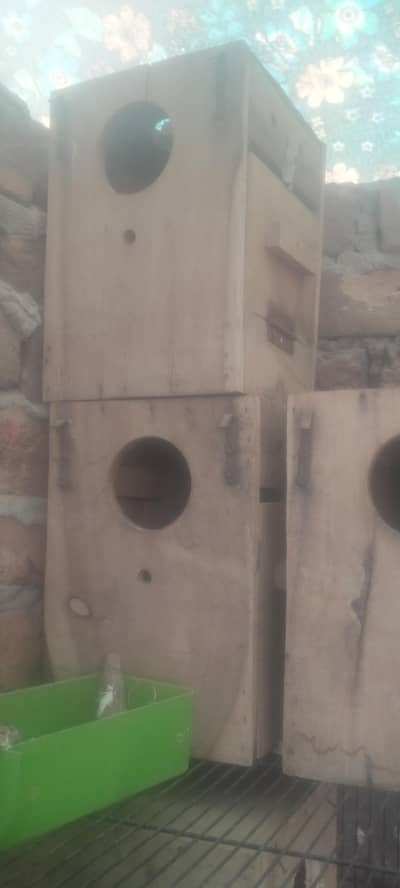 love birds box 1 sezan use