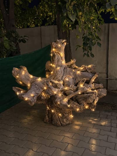 Natural wooden tree root decor
