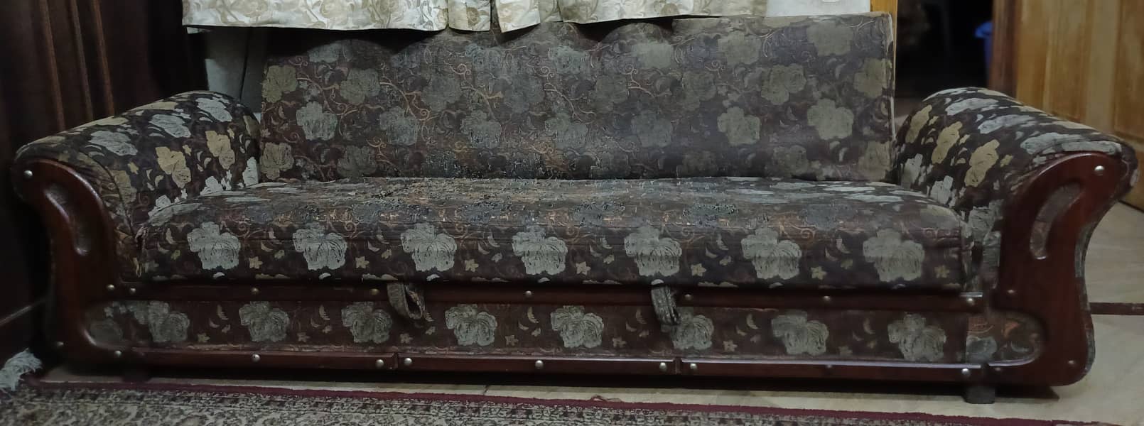 Sofa cum bed 1