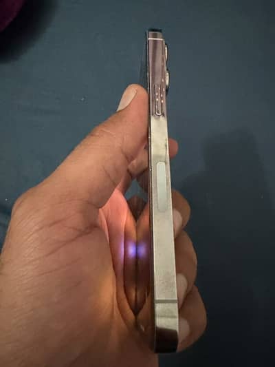 Apple iPhone 13 Pro