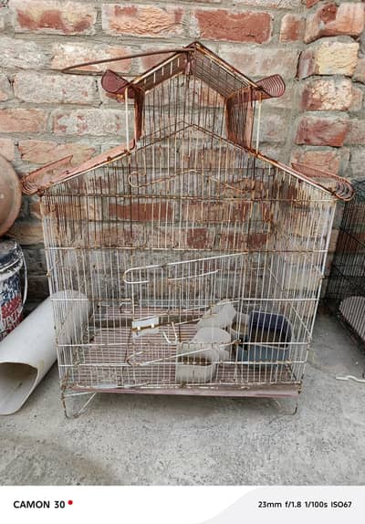 Cage for sale
