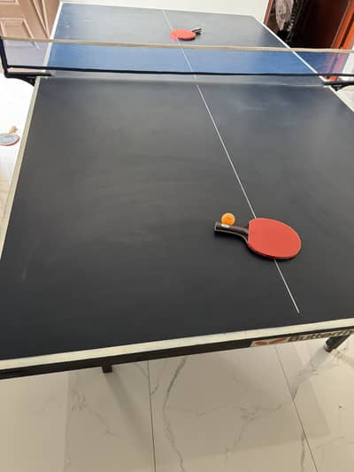 Butterfly Table Tennis Table