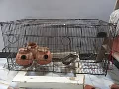 cagee 1