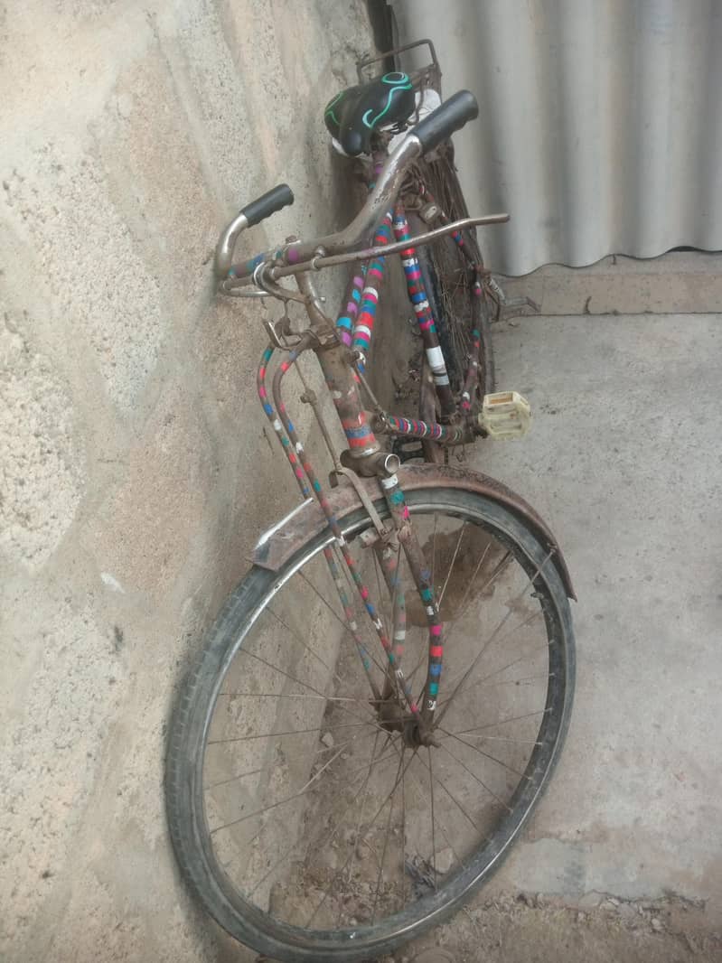 Shroab cycle 1
