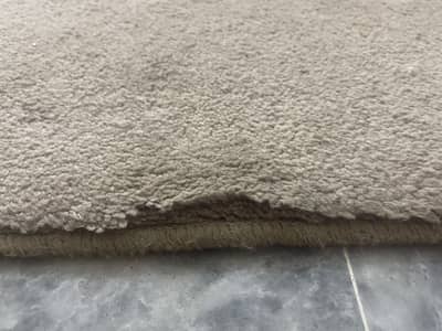 Carpet for sale
