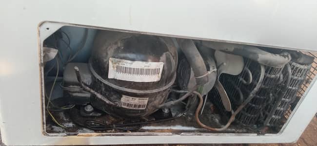 jenion freezer for sale Haier