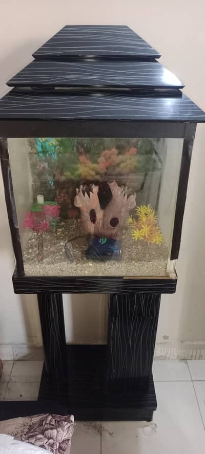 Complete Aquarium Setup with Stand & Filter For Sale
