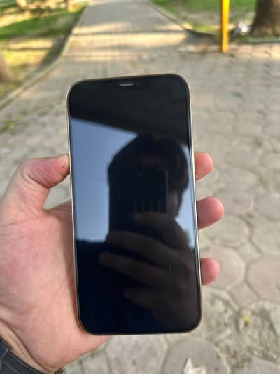 Apple iPhone 12 Pro Max
