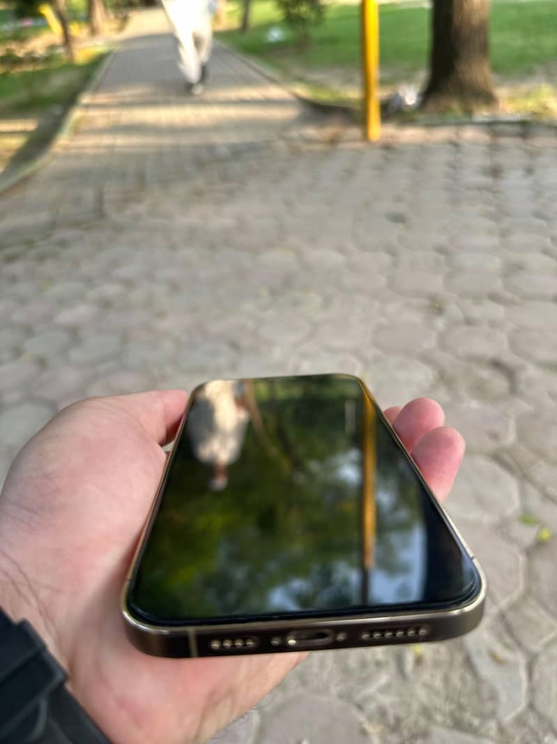 Apple iPhone 12 Pro Max 1