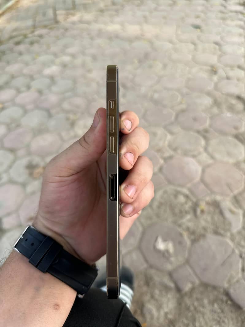 Apple iPhone 12 Pro Max 3