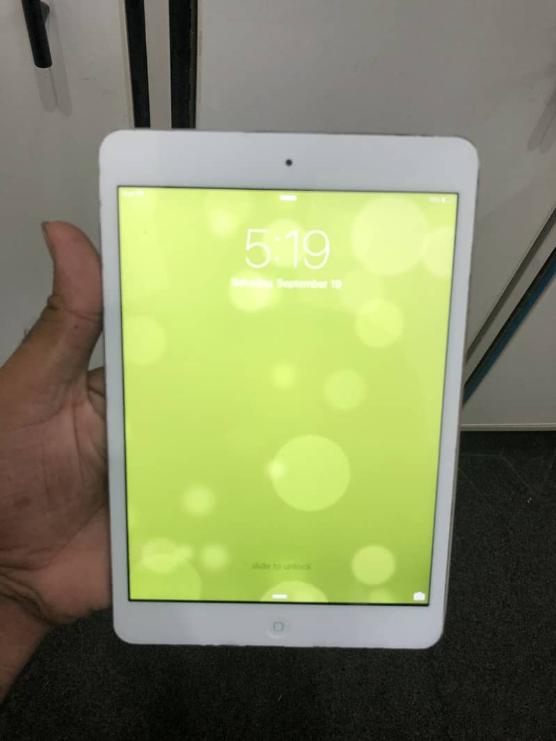i pad mini 2