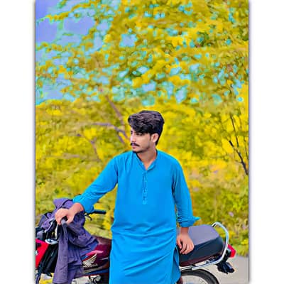 ALI ZAIN 