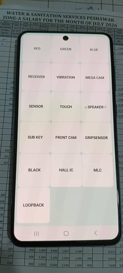 Samsung Mobile S21 FE