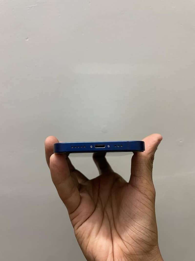 Apple iPhone 12 1