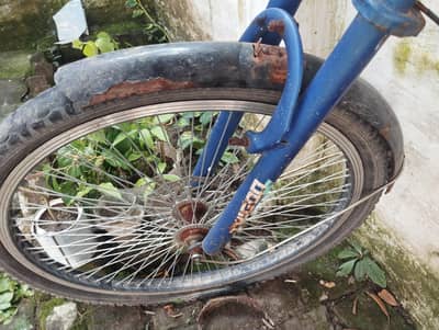 cycle 6000