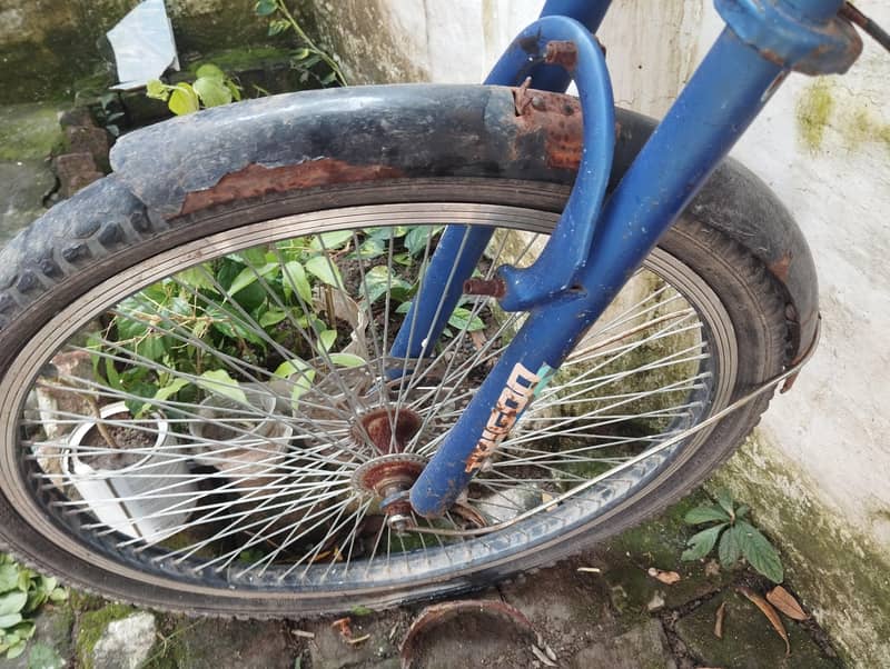 cycle 6000 0