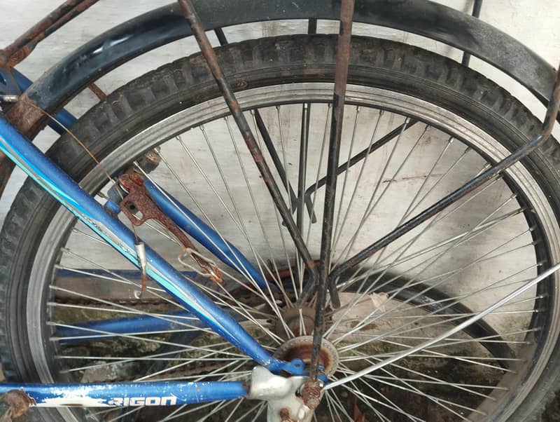 cycle 6000 1