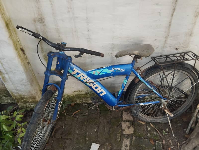 cycle 6000 3
