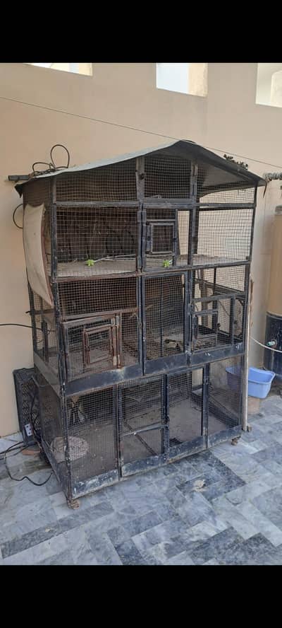 Bird cage. [Used) urgent sale