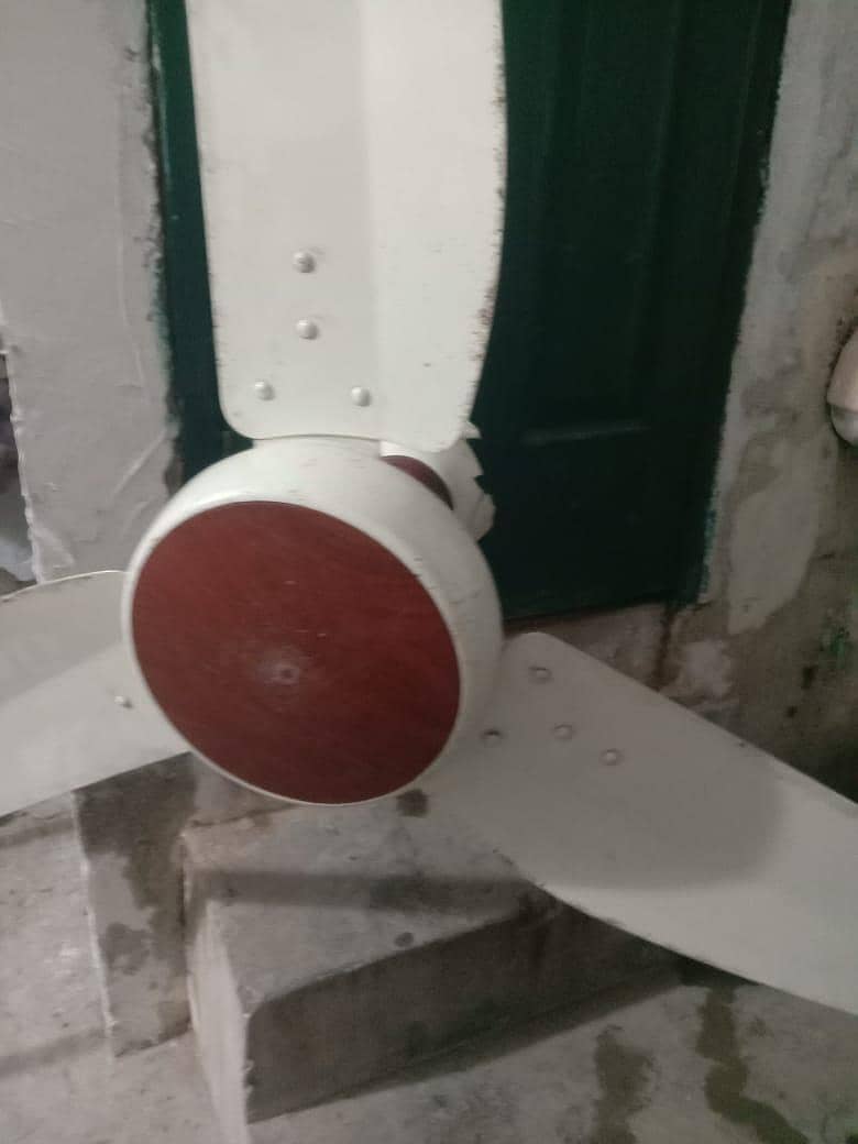 ceiling fan 0