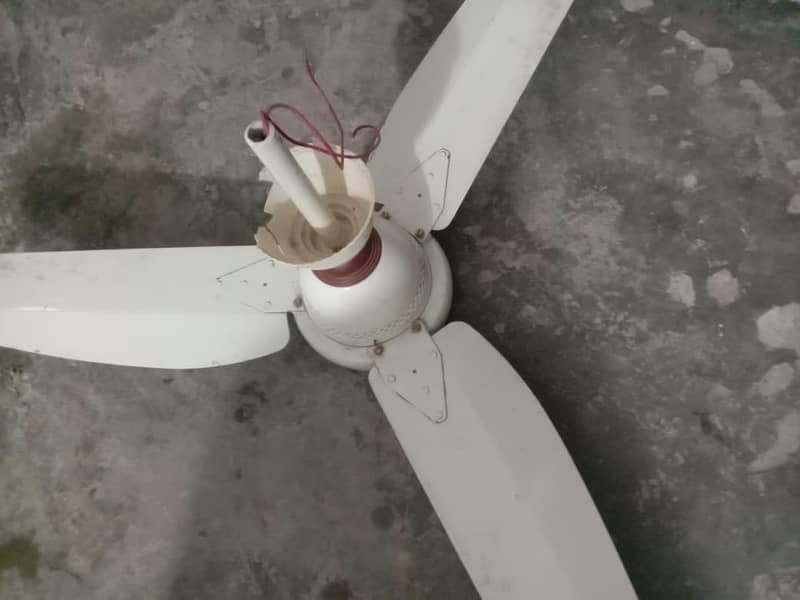 ceiling fan 1