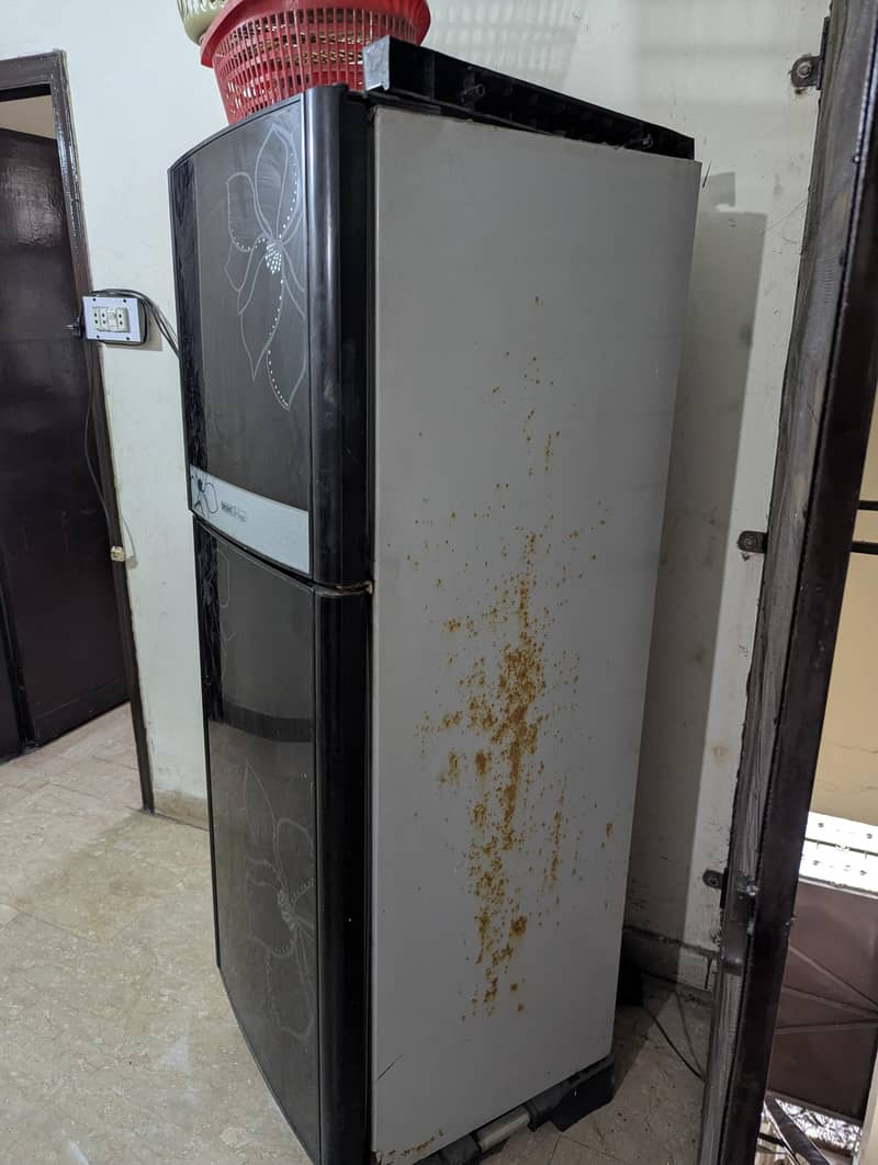 orient fridge 2