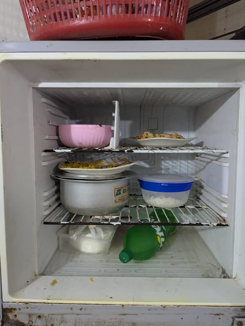 orient fridge 5