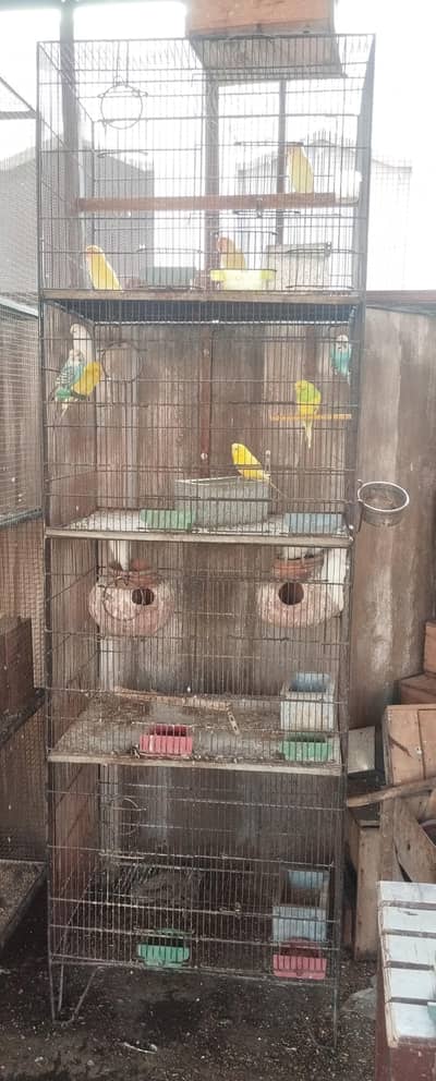 1.5*2 4 portion fix cage +breeding boxes