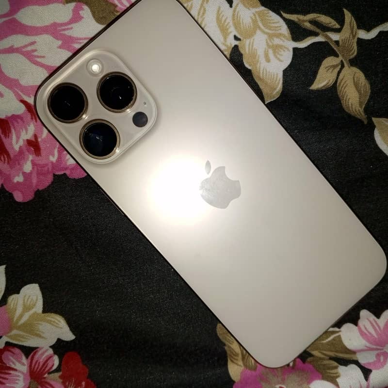 Apple iPhone 16 Pro Max 1