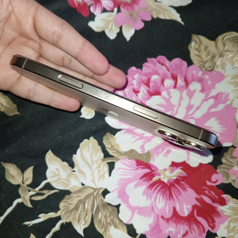 Apple iPhone 16 Pro Max 2