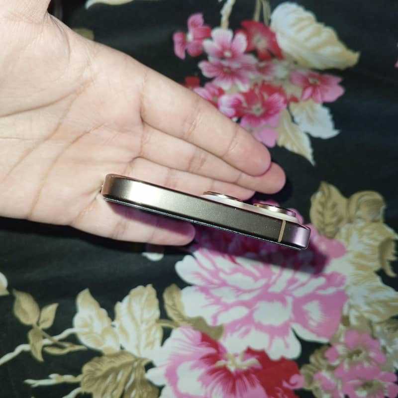 Apple iPhone 16 Pro Max 4