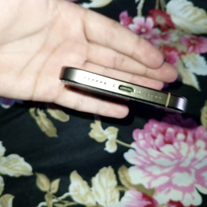 Apple iPhone 16 Pro Max 6