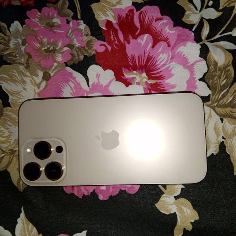 Apple iPhone 16 Pro Max 11