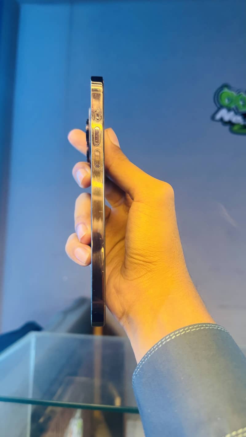 Apple iPhone 14 Pro Max 2