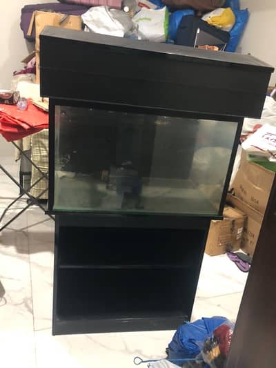 Fish aquarium