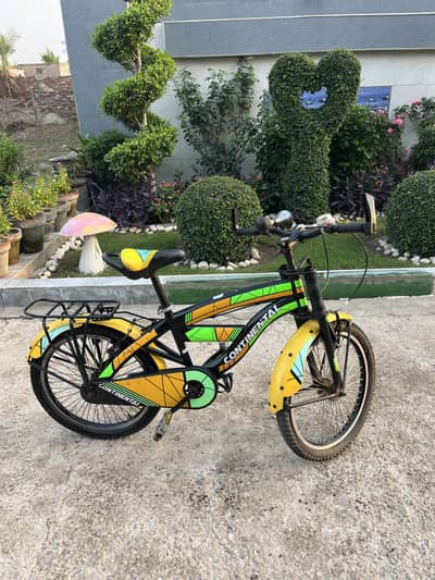 Continental 20 No Kids Bicycle Excellent Condition - Multan