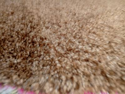 15×11 Ft Brown Shaggy Carpet - Good Condition