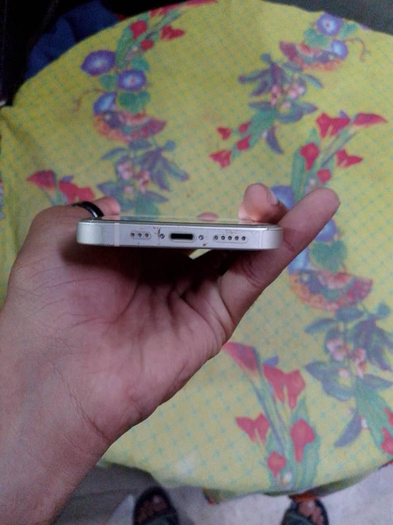 Apple iPhone 13 0