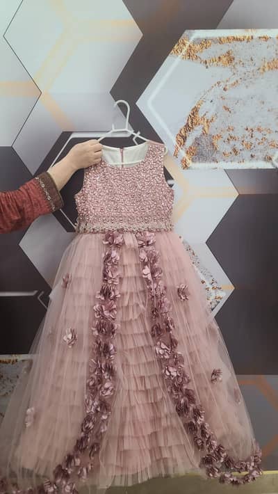 Soft Pink Elegant 3D Floral Tulle Frock