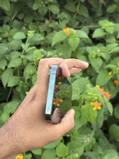 Apple iPhone 13 Pro Max jv